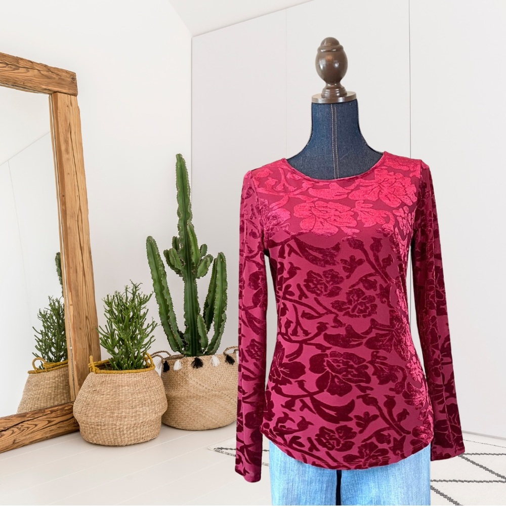 Sundance Long Sleeve Floral Velvet Blouse